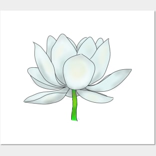 White Lotus Blossom Posters and Art